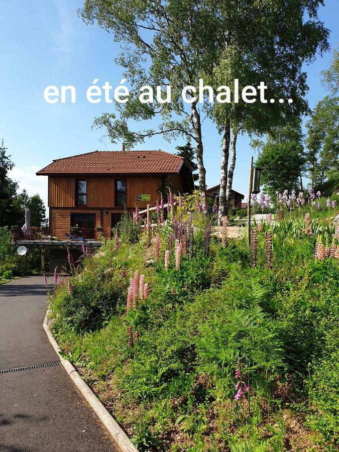 לה טולי Chalet Luxe 12 Personnes Spa Sauna Vosges-Gerardmer מראה חיצוני תמונה